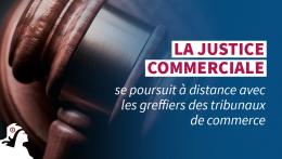 Audiences dématérialisées dans les TC